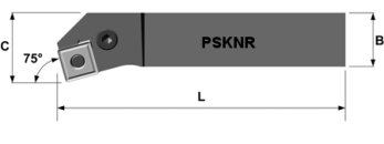 PSKNL2020 K12